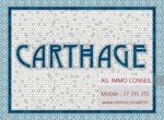 Carthage Immo Conseil