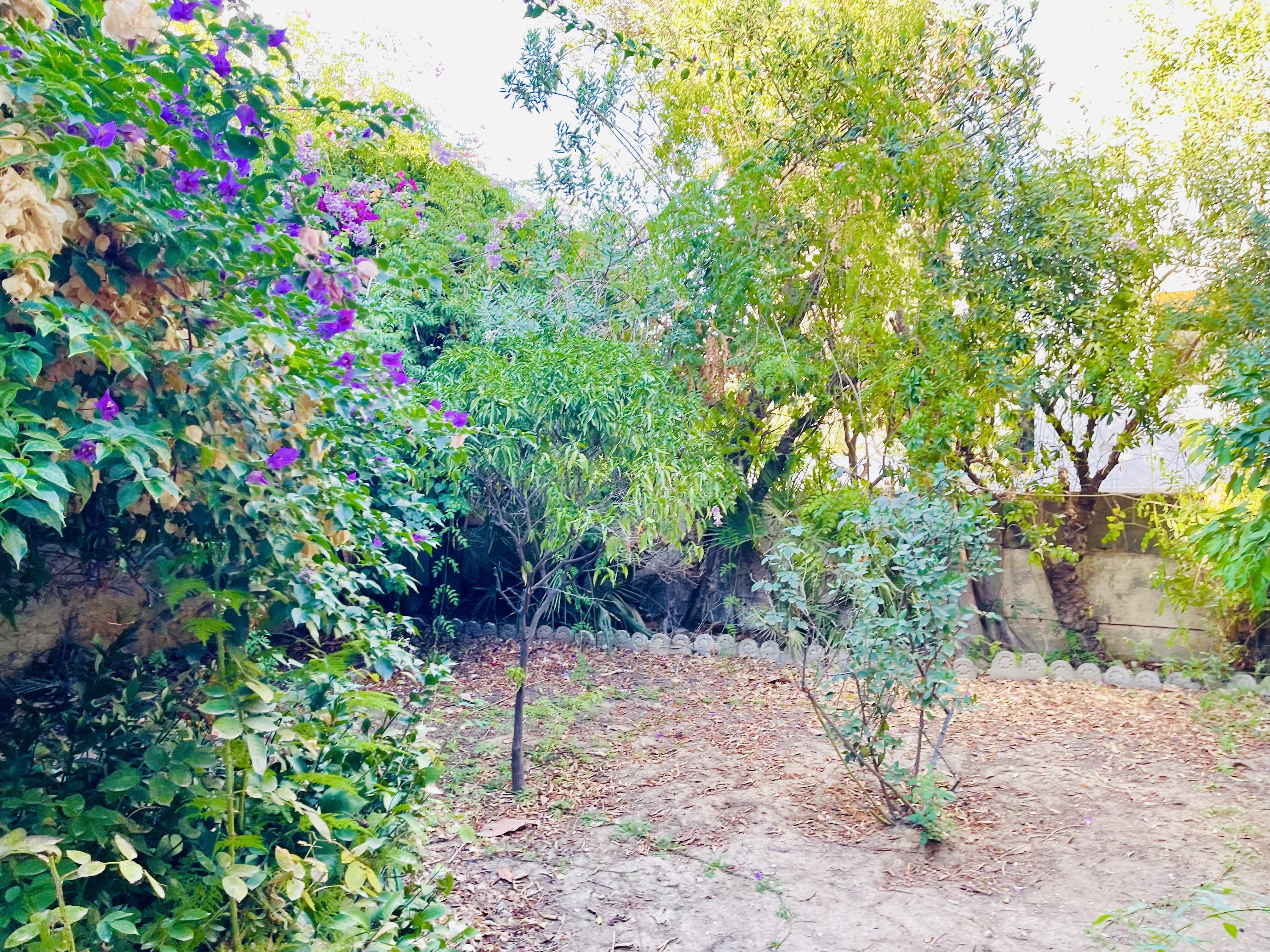 634AD5FF-D8B3-46A8-979A-1958CDDFC61F