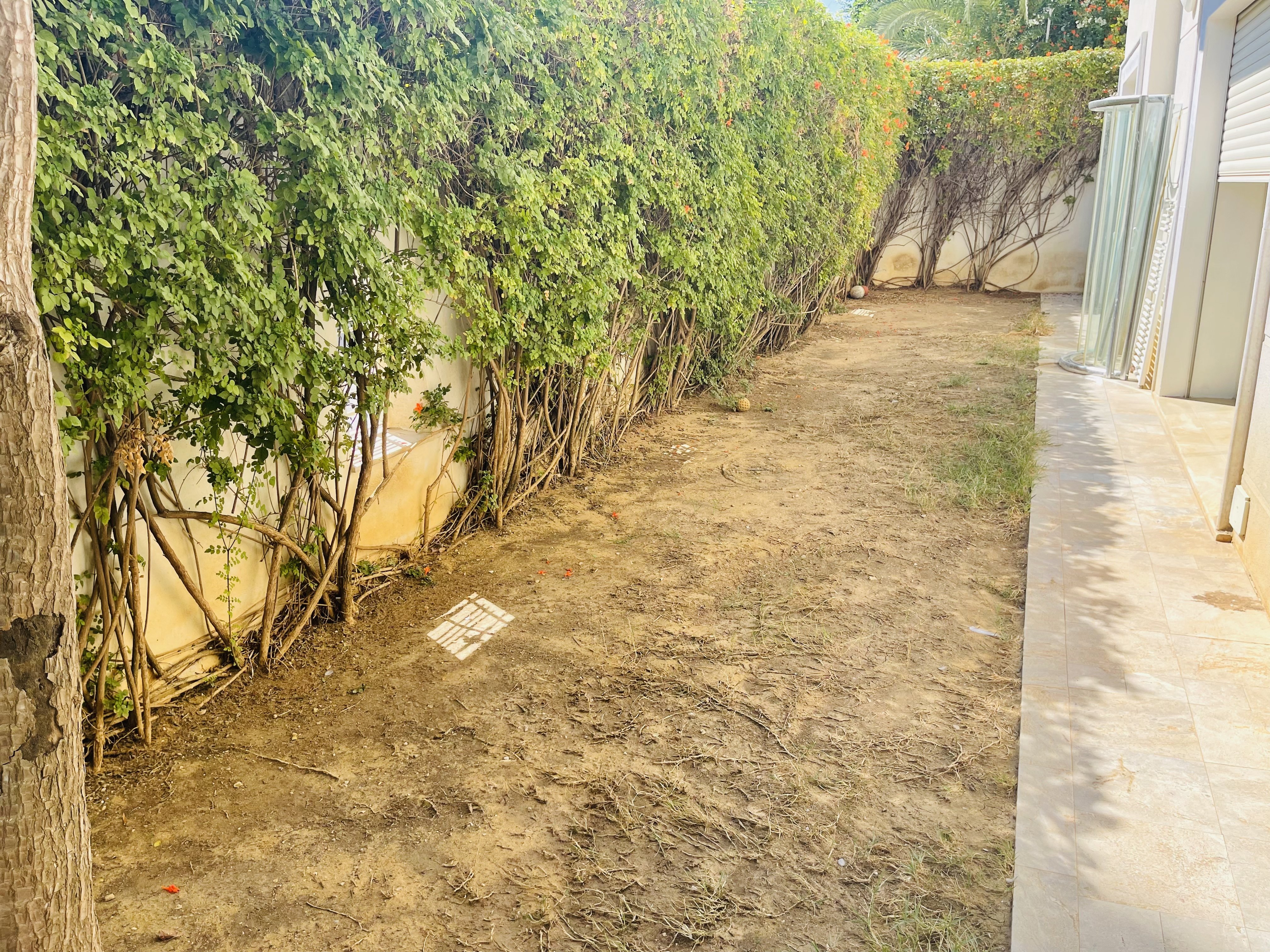 78495F79-22EC-4C4F-B9FC-8F6F1C142DED