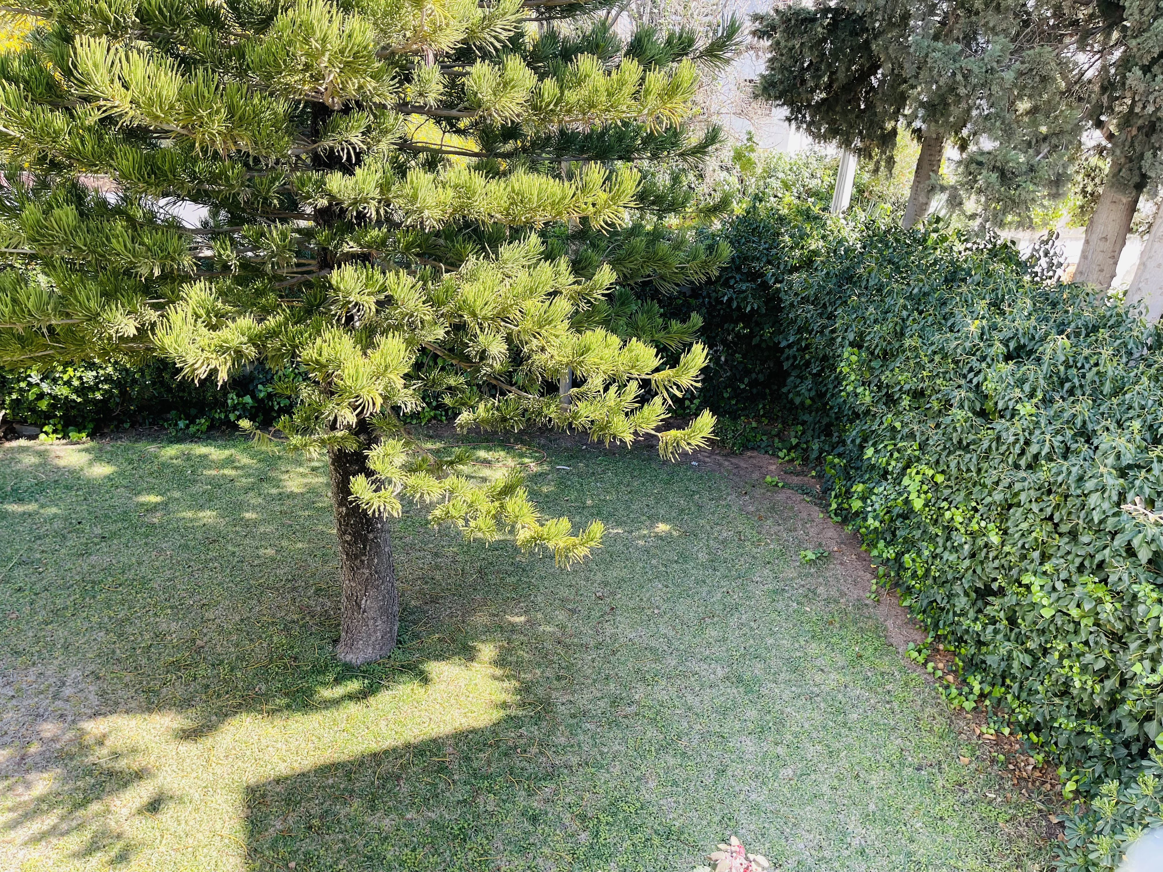 15DF27B5-72EC-48AA-9862-64591A08558D