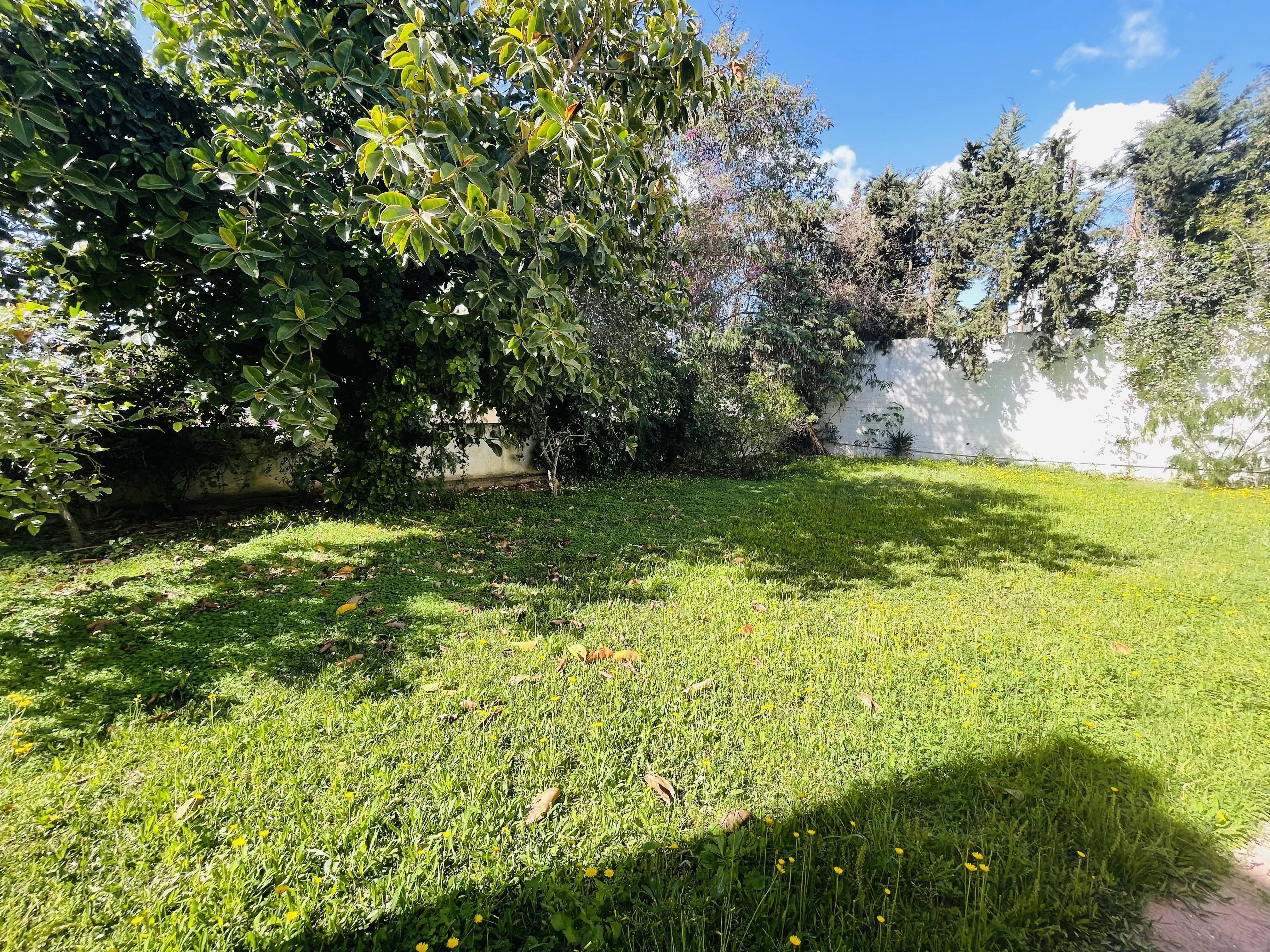 5D2173B5-968D-48CC-8189-D0C1EE9FEBD9