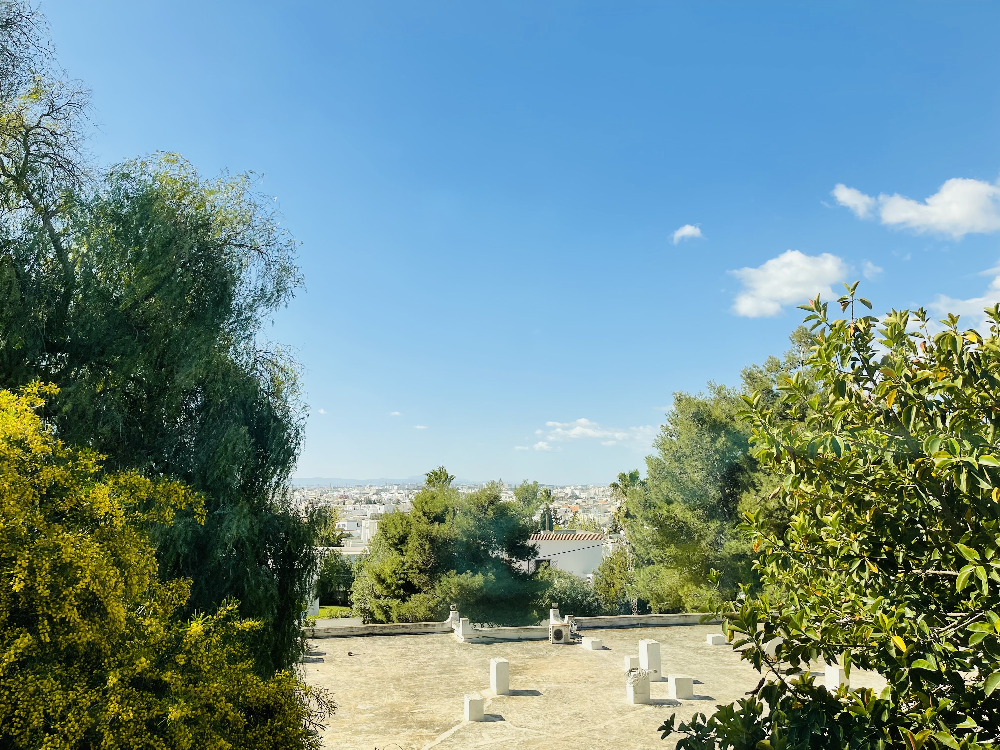 663CA85F-18B1-4C94-93D4-38A689E66AF0