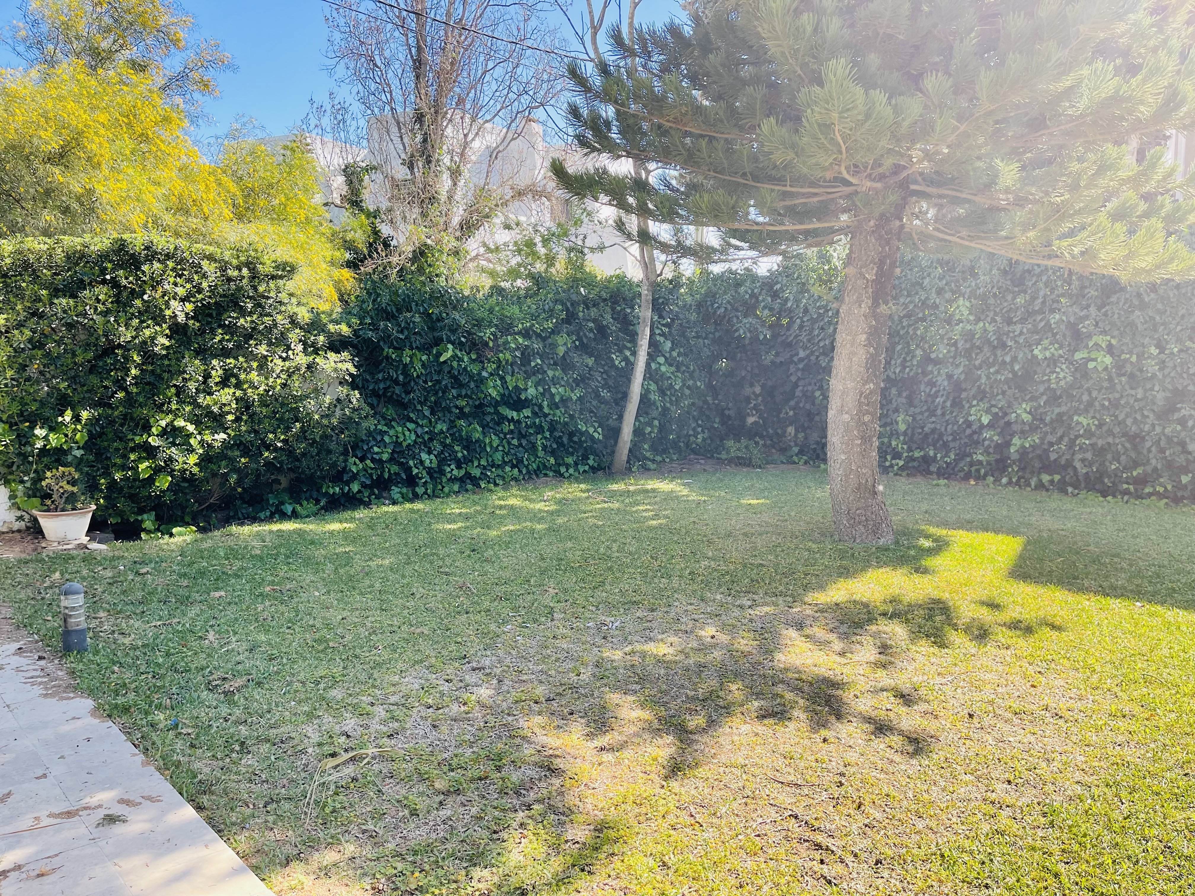 BBFF37F8-69B2-439F-AEDE-FD0981B659D6