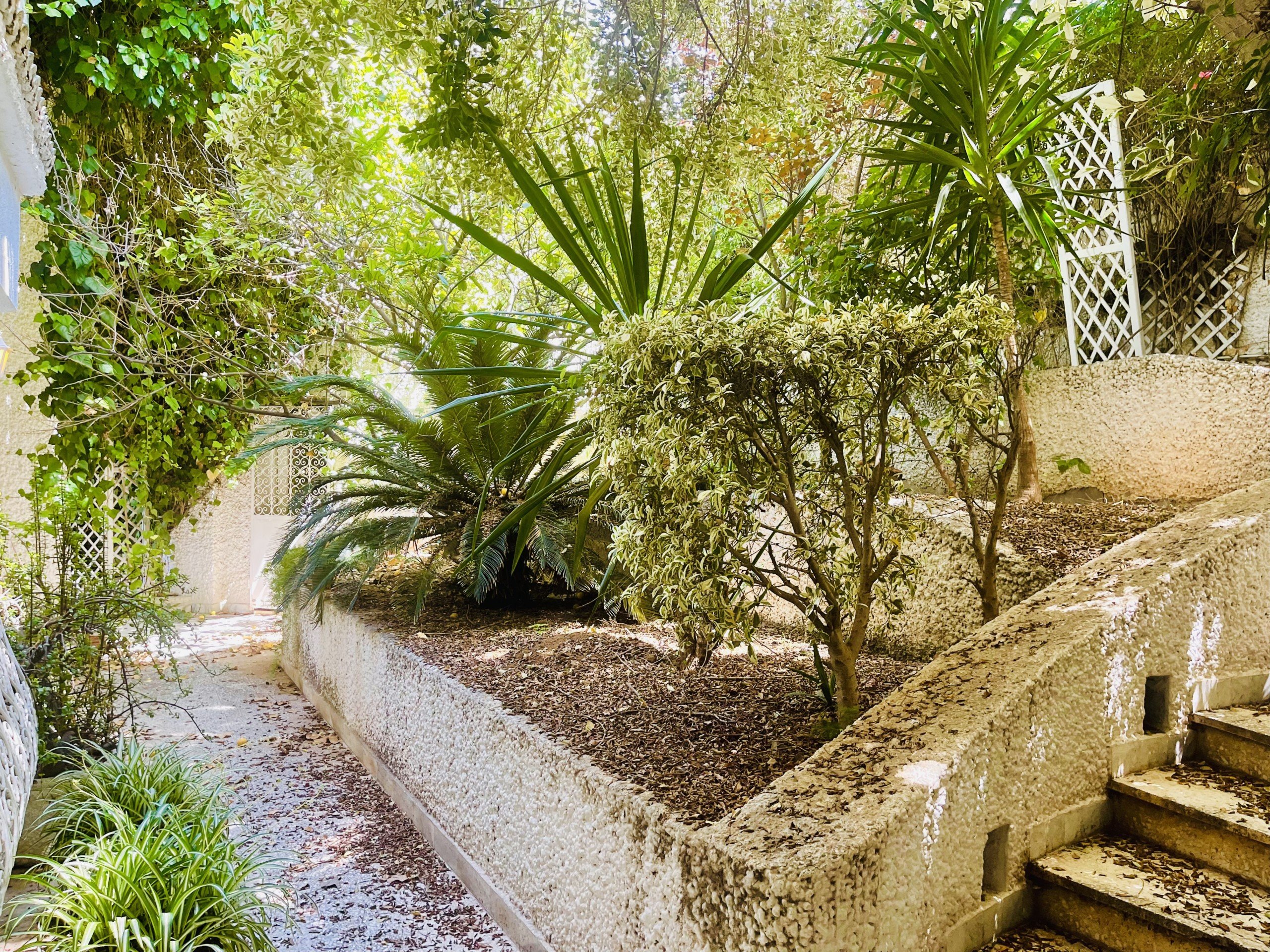 CC0537CF-1680-4A1B-AFB8-EB2660DB71E8