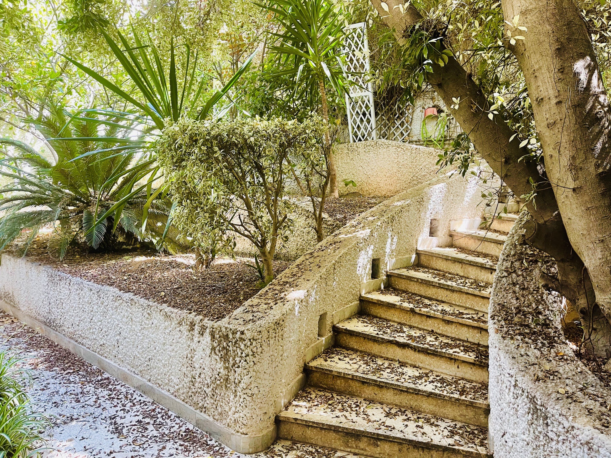 E122DD44-C5DF-47F6-A305-96647B8123D1