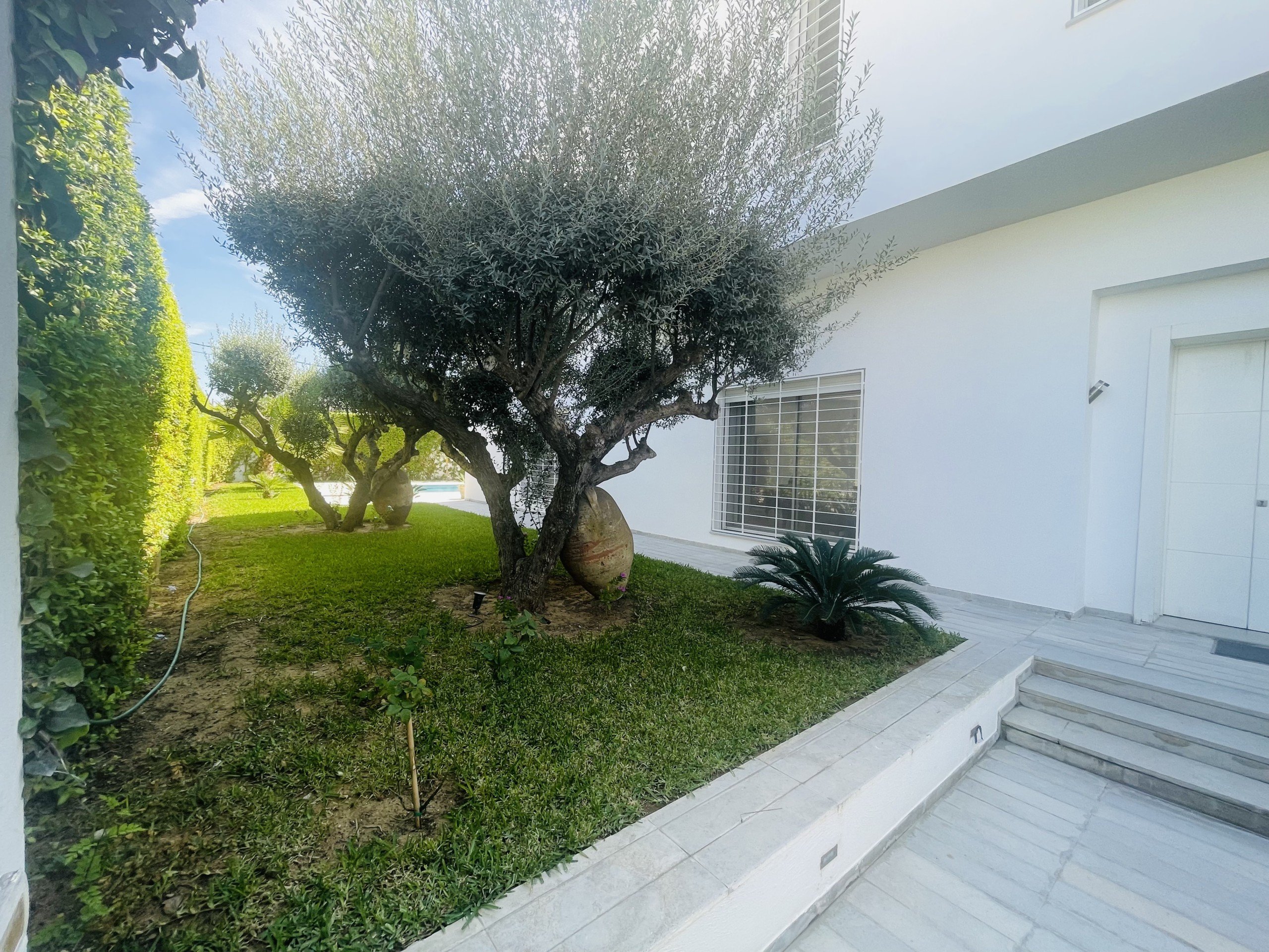 9B6BB03B-6CDD-41FA-BF24-C8287EB65E9B