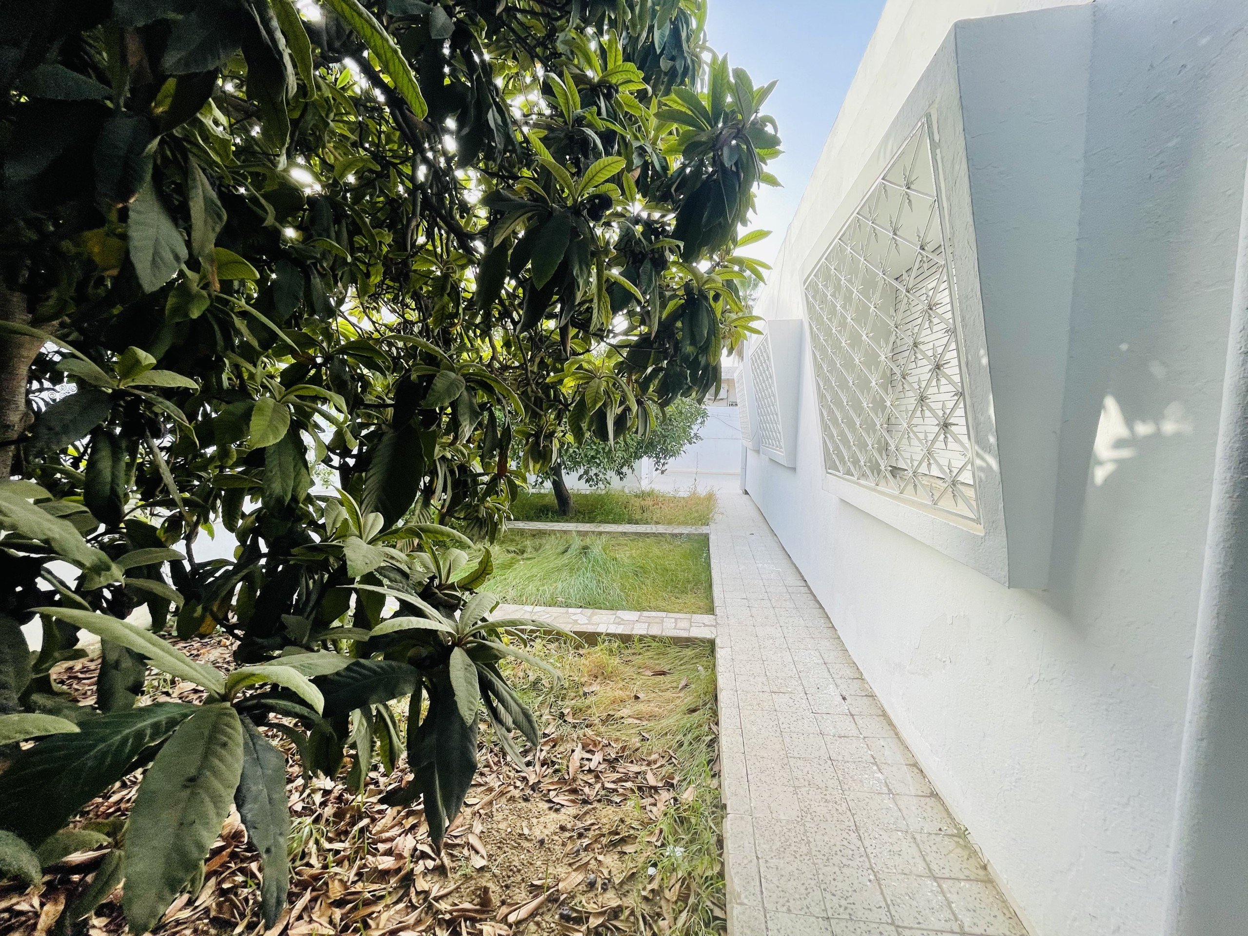 D6C8FFCD-E722-4B41-B32F-F93F5AB83345