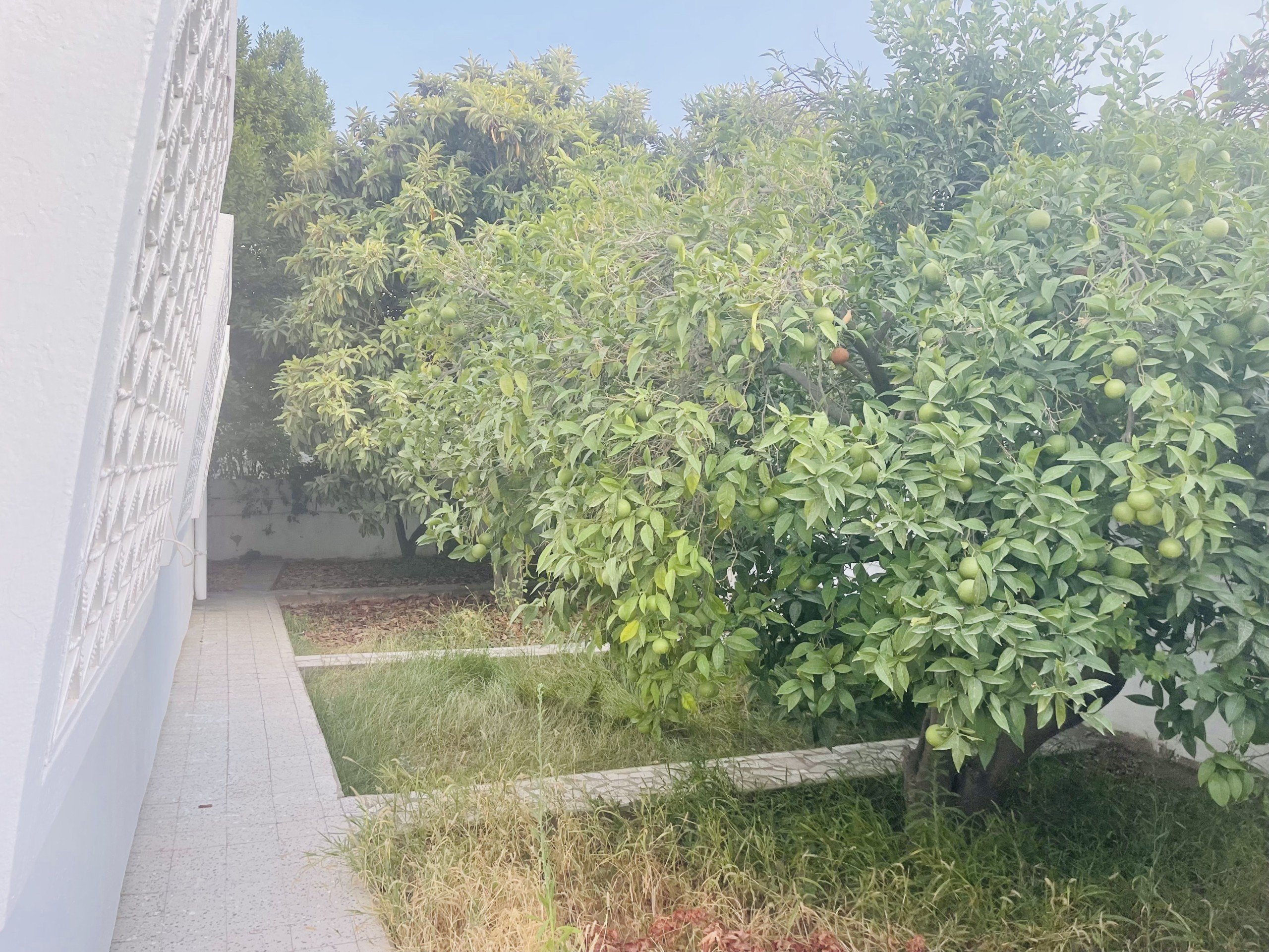 F096FAC4-00C2-4554-BD91-77169EC37922