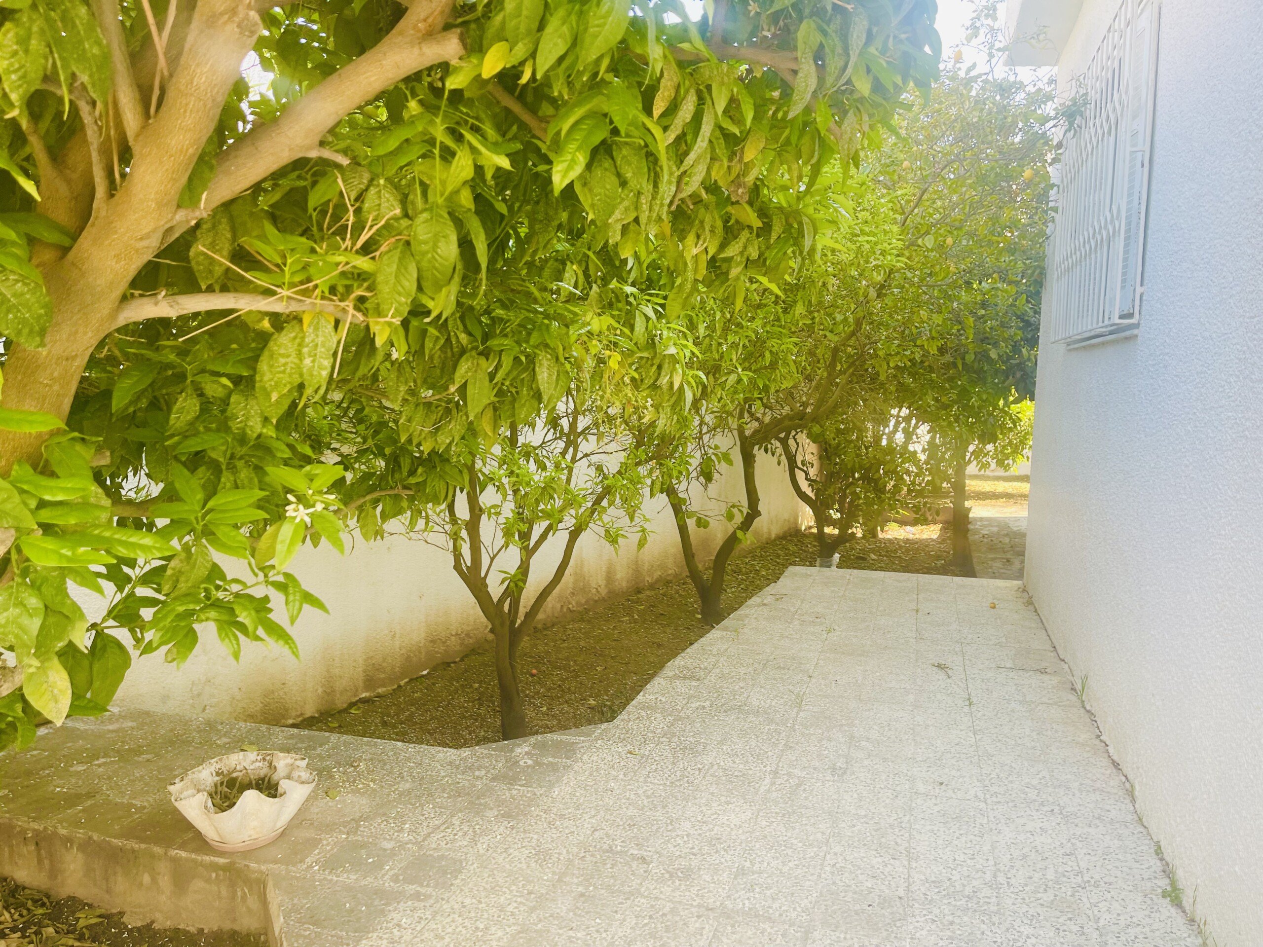 26D243F2-C0D7-4410-B476-2B3AD42B3342