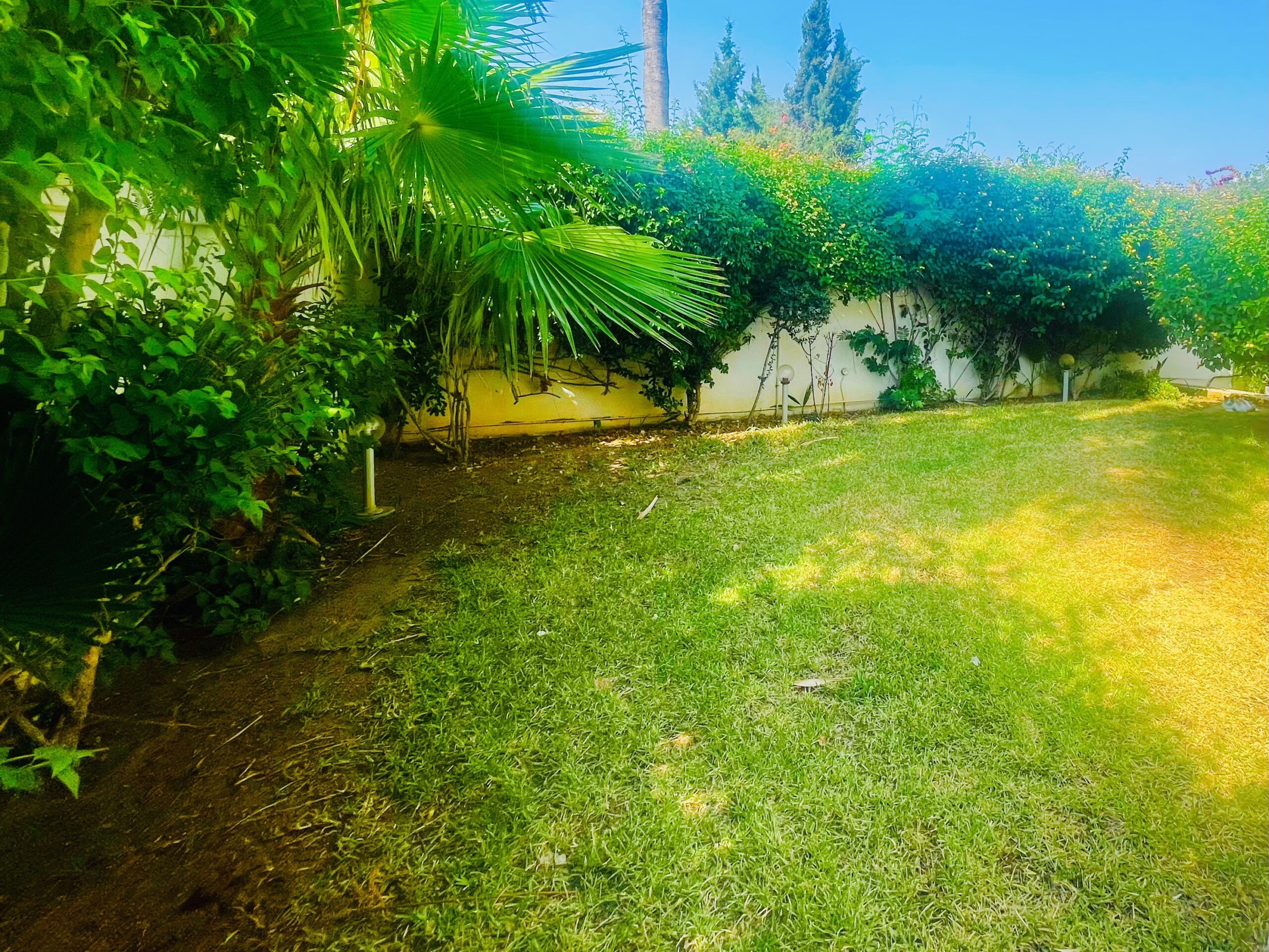 64E823DA-5C76-4B0E-95EF-ED7C2DDA4D35